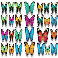 Colorful butterflies—vibrant flying insects with multicolored wings in a natural garden and floral environment
