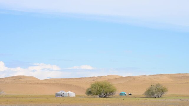 In the vast, arid landscape of the Durgun Nuur desert, a small encampment of traditional gers stands against the sand dunes. A scene of human resilience in a harsh environment.