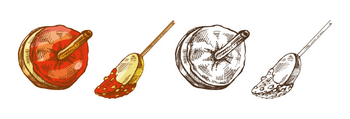 Hand drawn vintage sketch set of caramel toffee apple and glazed apple slice with nuts, color and monochrome
