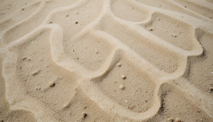Close-Up Full Frame of Fine Sand Texture Creating Natural Beach Background Design