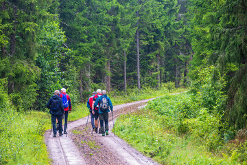 Fototapeta premium Group of men walking on a forest road