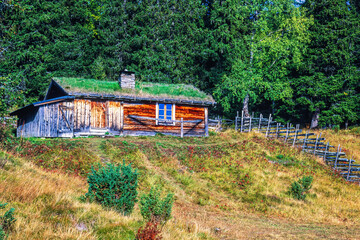 Old croft at a meadow at the edge of the woodland