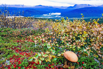 Autumn in a mountainous landscape view