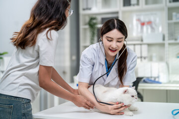 Fototapeta premium Asian pet owner brings her small cat to veterinary clinic for check up.