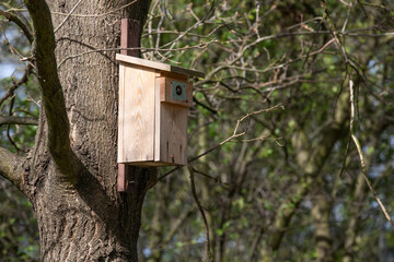Wooden old birdhouse on a tree in the forest in spring.