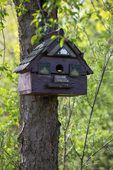 Wooden old birdhouse on a tree in the forest in spring.