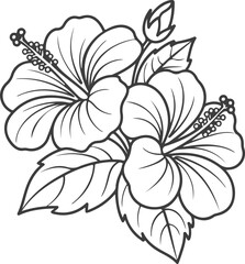 Exquisite line drawing showcases delicate hibiscus flowers and leaves, ideal for adding a touch of floral beauty and sophistication to any project. 