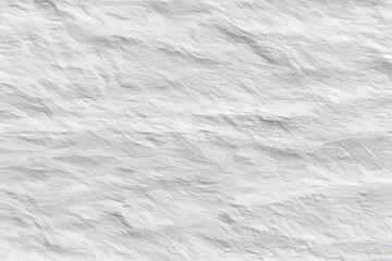 Obraz premium Textured White Painted Rough Stone Wall Surface of an Old Vintage House with Historical Architecture