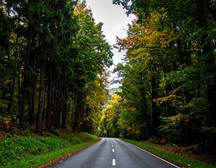 Fototapeta premium Winding road through a colorful autumn forest