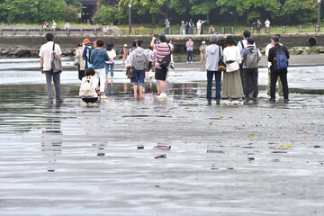 片瀬東浜のトンボロ現象を体験しに集まった人々 © masyok