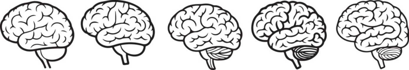Set of anatomical human brain brain side view vector illustrations.Human brain top view line icon set.Simple black line drawing of a human brain.