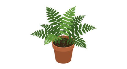 Isometric fern in clay pot on white background