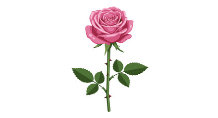 Fototapeta premium Realistic pink rose on white background with green leaves