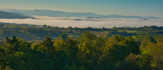 Herbststimmung in der Ortenau bei Ettenheim