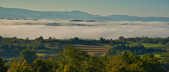 Herbststimmung in der Ortenau bei Ettenheim