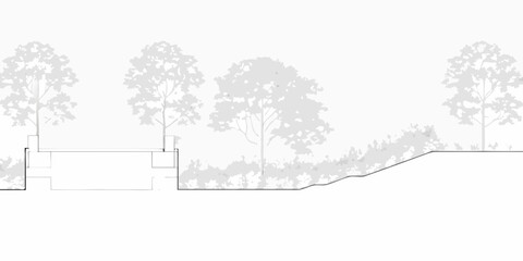 Architectural drawing of a landscape section with trees and vegetation