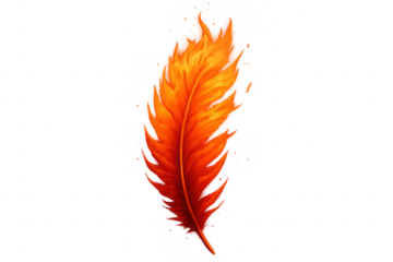 Burning feather creating fire flames, transparent background