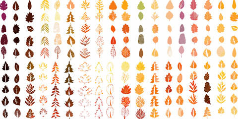 Collection of hand drawn autumn leaves and trees in various colors and textures