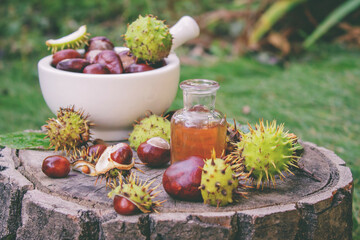 Extract and Horse Chestnut Fruits on a Wooden Stump. Natural Medicine