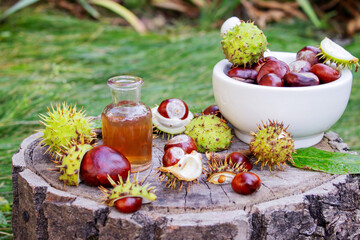 Extract and Horse Chestnut Fruits on a Wooden Stump. Natural Medicine