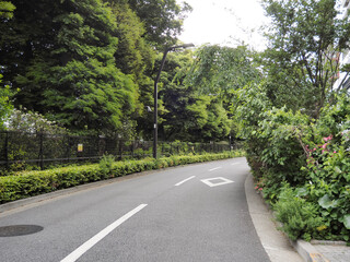 道路風景。新宿御苑に隣接している公道。新緑。