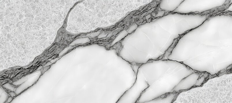 Fototapeta Elegant Luxury Calacatta Marble Texture with Stunning White and Gray Veins for Interior Design