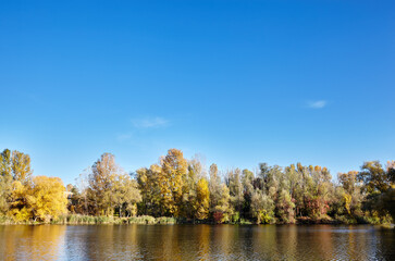 Beautiful river landscape at Autumn. The surface of the water against the background of trees and a blue sky on a sunny perfect day. The bright colors of fall