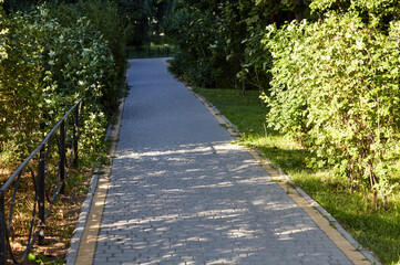 Pathway surrounded by trees and ornamental shrubs in Kyiv, Europe. Recreation place in the city park