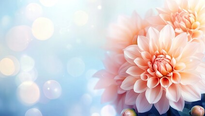 Peach dahlias, soft focus, bokeh lights, dreamy background