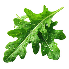 Vibrant green arugula leaves with water droplets elegantly displayed against a stark black backdrop, emphasizing freshness, detail, and a healthy natural aesthetic; a  shot capturing the delicate...