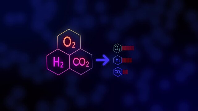 Molecular Separation Concept &ndash; O2, H2, CO2