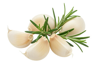 Isolated garlic cloves and rosemary sprigs for seasoning gourmet dishes or culinary arts