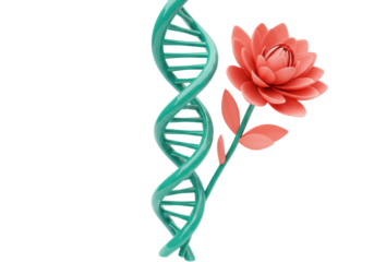 Isolated DNA strand with lotus flower and stem, modern medical botanical illustration