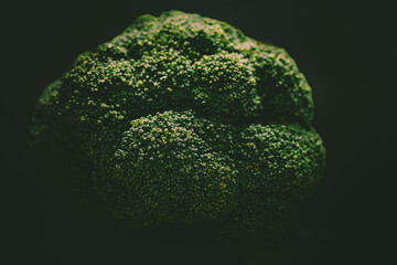Close-up of fresh broccoli floret isolated on dark background. Minimalist composition highlighting healthy vegetable, organic food, and natural texture.