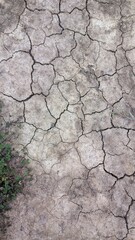 Close-up of cracked dry earth showing patterns of drought and soil erosion, symbolizing climate change, arid land, and environmental fragility.