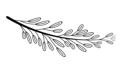 Abstract Doodle Outline Contour Tree Branch Petal Black Leafy Botanical Herb Flora Floral Bouquet Garden Greenery Decorative Hand Drawn Illustrator Art