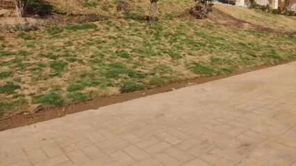 View of a grassy slope and a brick paved walkway on a sunny day outdoors