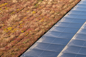 Green roof vegetation detail with solar surface in Copenhagen highlighting environmental architecture, sustainable design and corporate branding opportunities