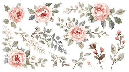 Watercolor Pink Roses and Botanical Branches on PNG Black Background for Design floral elements