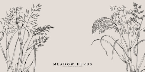 Meadow herbs sketched vector background
