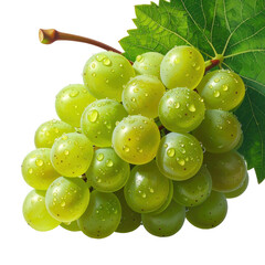 Fresh green grapes adorned with glistening water droplets, showcasing a healthy, juicy appearance.
