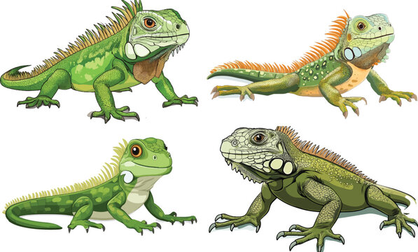 cartoon illustration of an iguana on a white background, vector clipart
