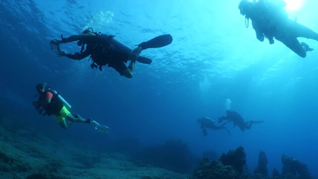 scuba divers are exploring the reefs in mediterranean underwater