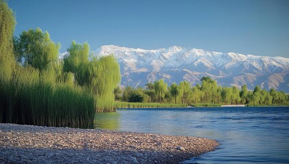 Serene lake view with snowy mountains & lush vegetation