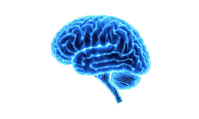 Glowing Blue Neural Network Brain