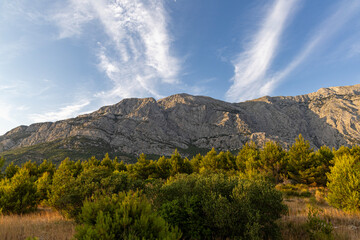 Biokovo Mountains and olive grove against the sky. Mountain landscape, Croatia. Copy space.