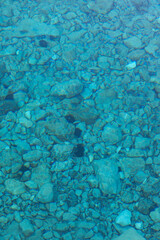 Rippling sea surface and rocky bottom of the Adriatic Sea. Marine background. Copy space.