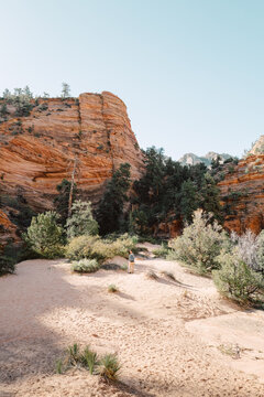 Zion National Park