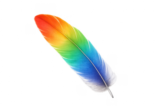 Colorful feather displaying rainbow gradient with transparent background