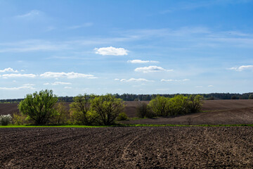 Expansive agricultural land with rich soil under a clear blue sky in early spring surrounded by lush green trees